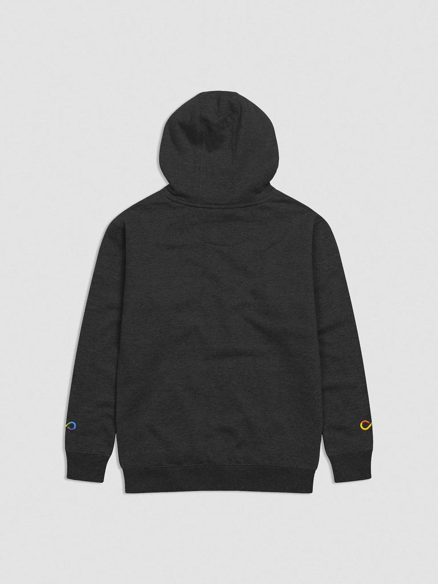 It's Not Sarcasm It's Autism Embroidered Hoodie product image (2)