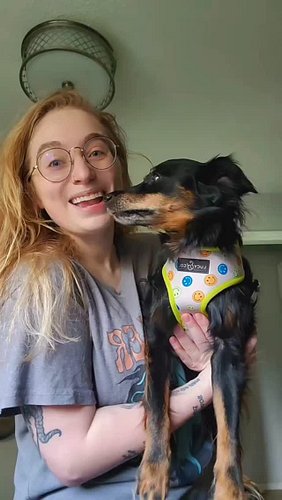 Frankie says to go pre-order THE HOME FOR WAYWARD CREATURES, or else. 😤 

L!nk in bio!

The Home for Wayward Creatures is my ...