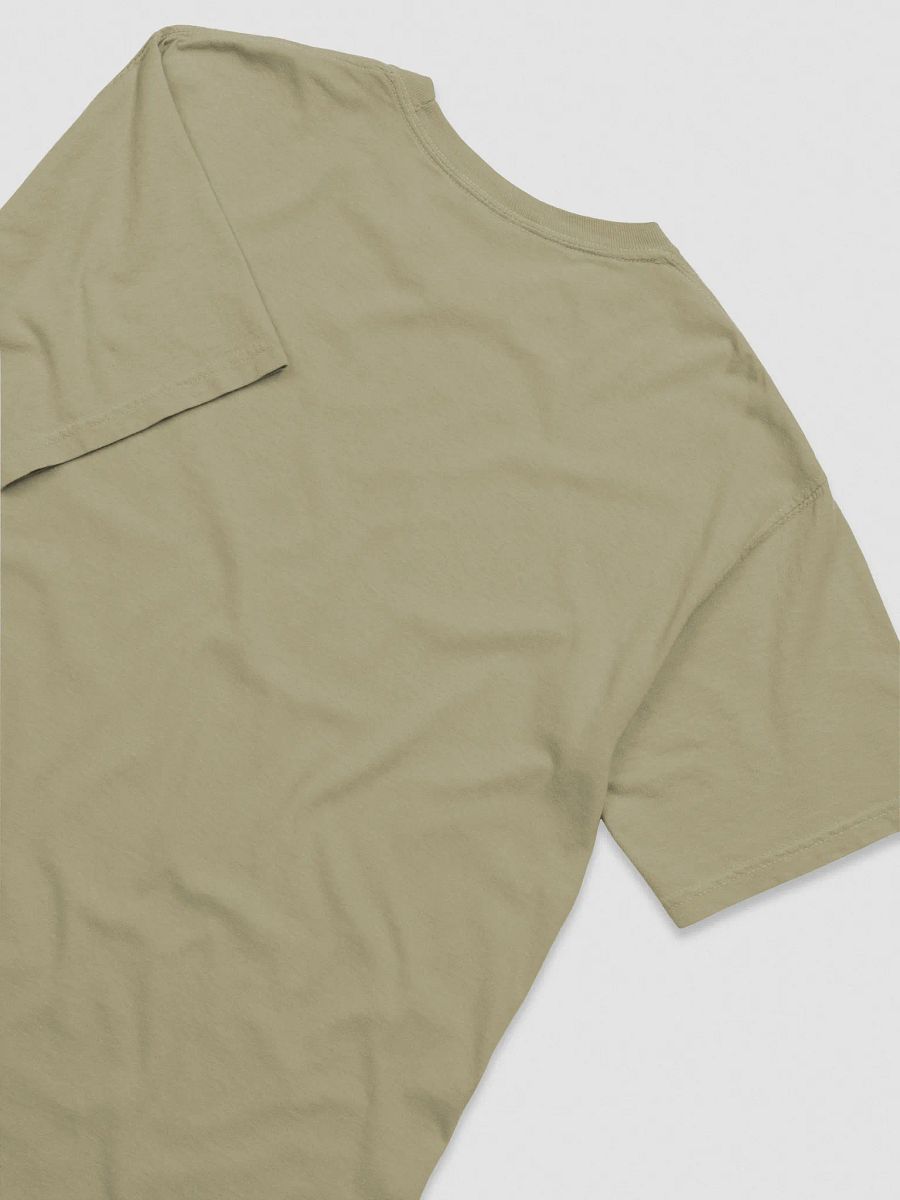 I Have Standards T-Shirt(Embroidered) of a Standard Schnauzer(Black & Silver) product image (12)