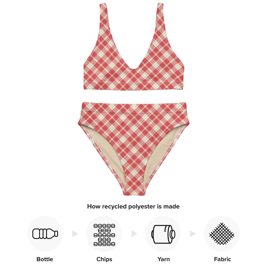 Coral Pink Plaid Bikini product image (10)