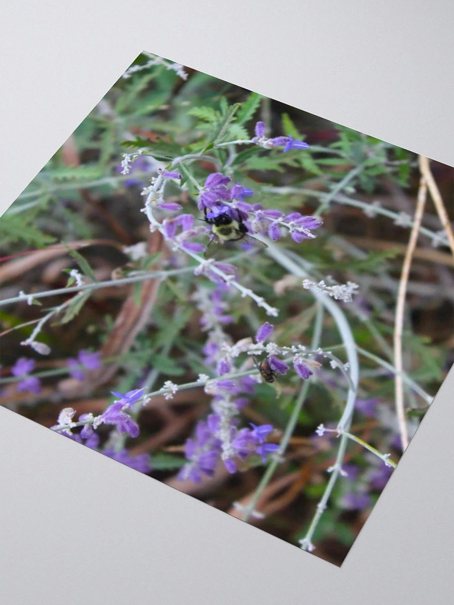 A Study in Flowers 4 - sticker version product image (11)