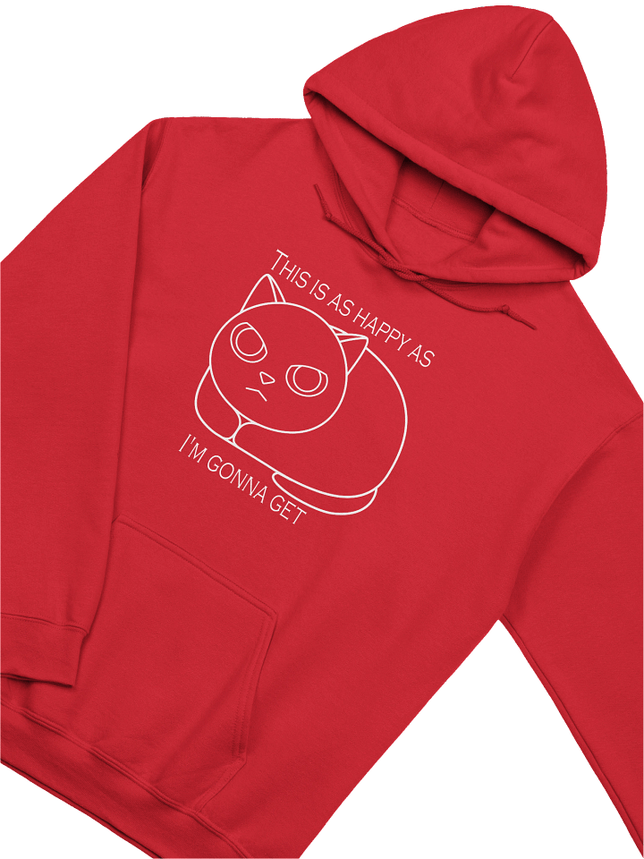 Happy Grumpy Cat - Unisex Adult Hoodie product image (18)