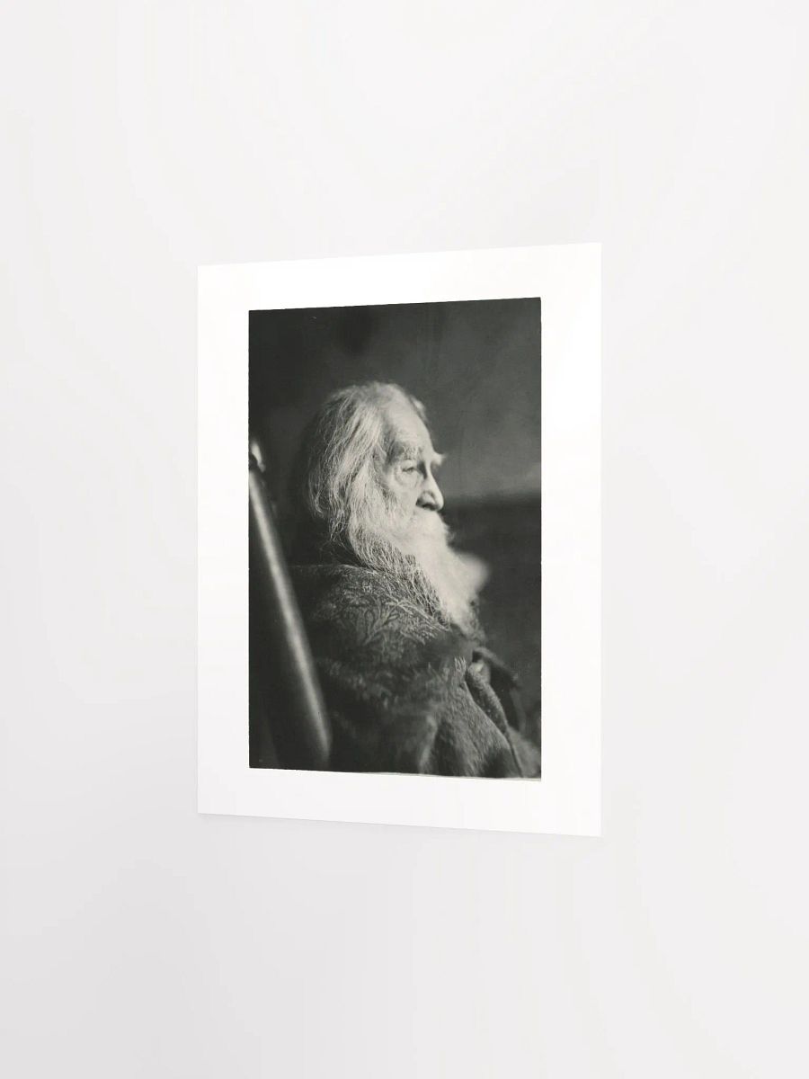 Walt Whitman in Camden, N.J. by Thomas Eakins - Print product image (2)