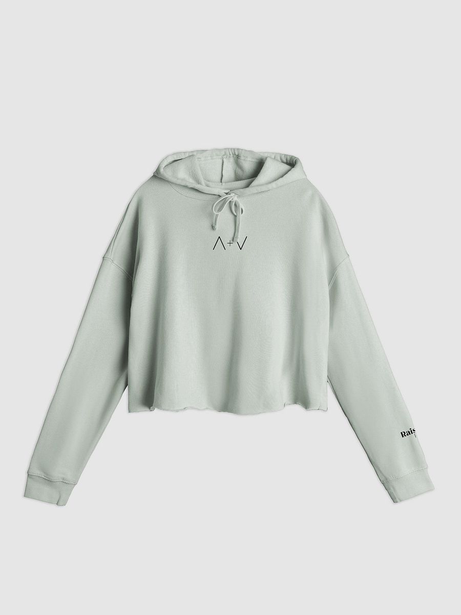 Peak and Pit Cropped Hoodie product image (1)
