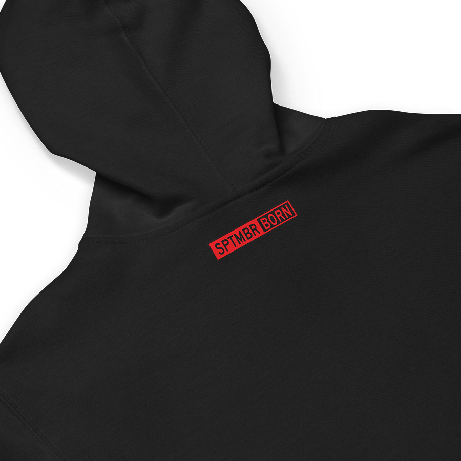 BLENDERBALLZIPPER product image (2)