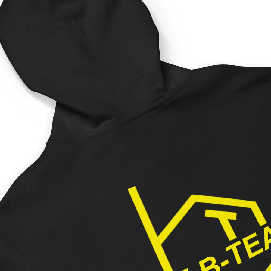 'BT' Full Logo Back Hoodie With Stitched Front logo product image (5)