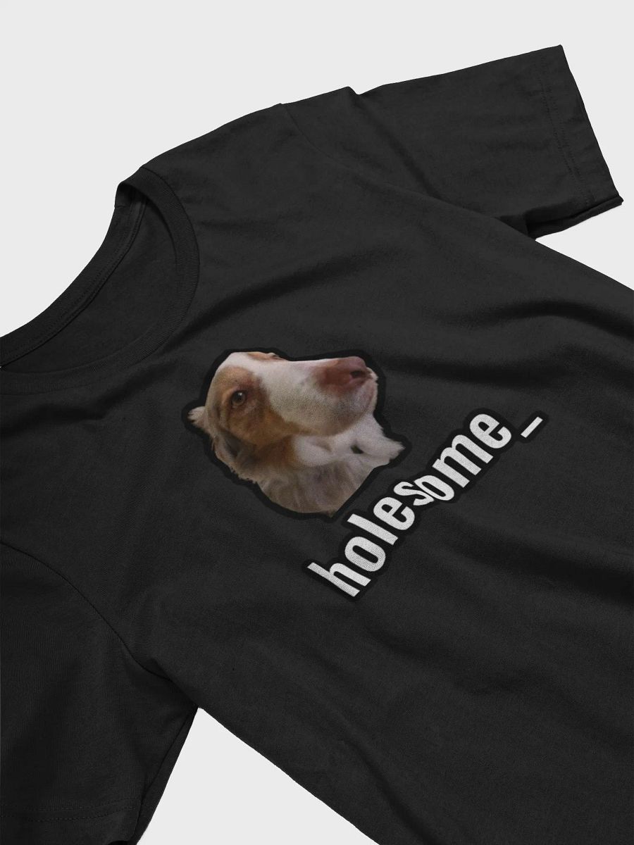 holesome Biggie T Shirt product image (27)