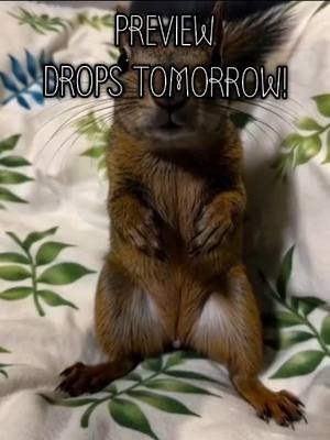 #squirrel #video #music #art #carpetman @carpetman.official New Song, What's Goin' On, video drops tomorrow! 