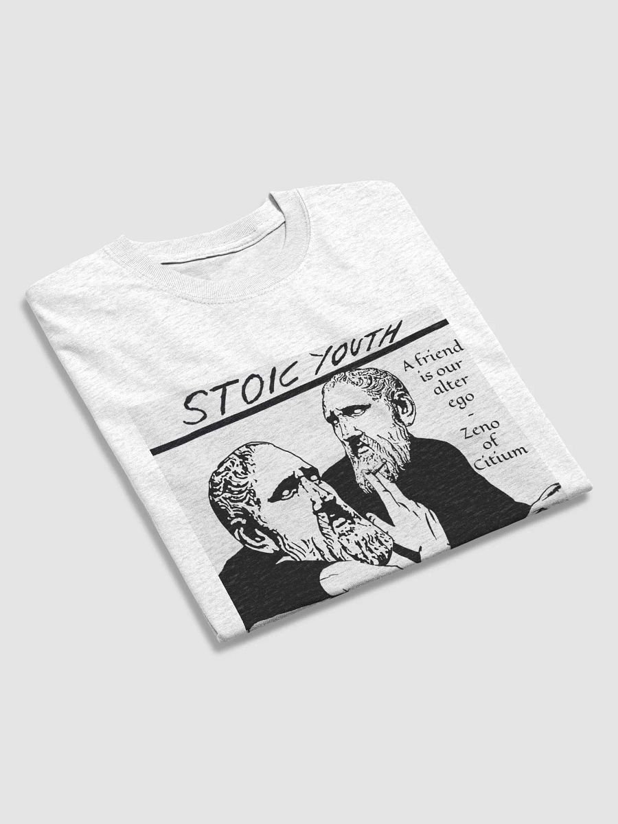 Stoic Youth Zeno of Citium quote Gildan Heavyweight T-Shirt product image (3)