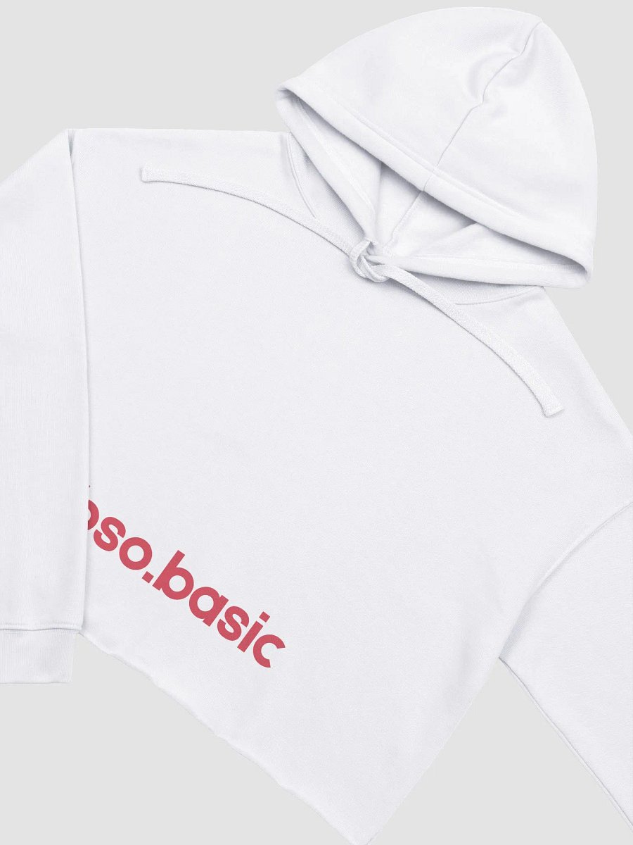 Her Music Vintage Crop Hoodie product image (17)