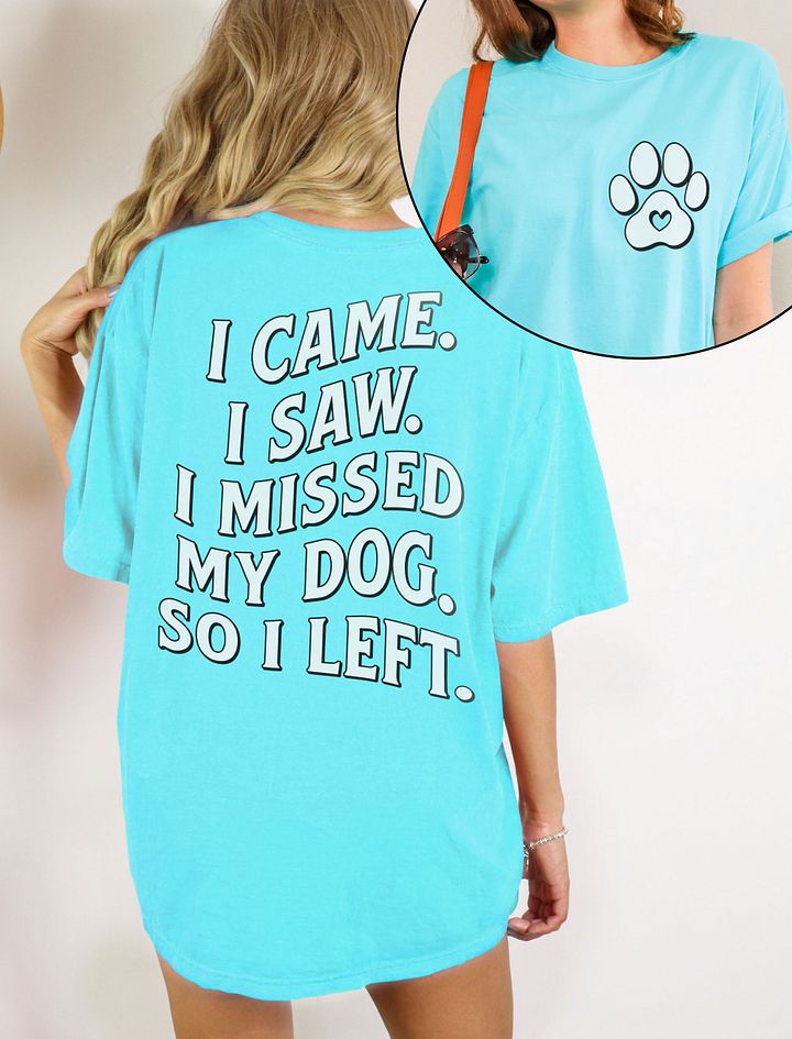 I Came, I Saw, I Missed My Dog, So I Left | Funny Introverted T-Shirt for Dog Moms product image (6)
