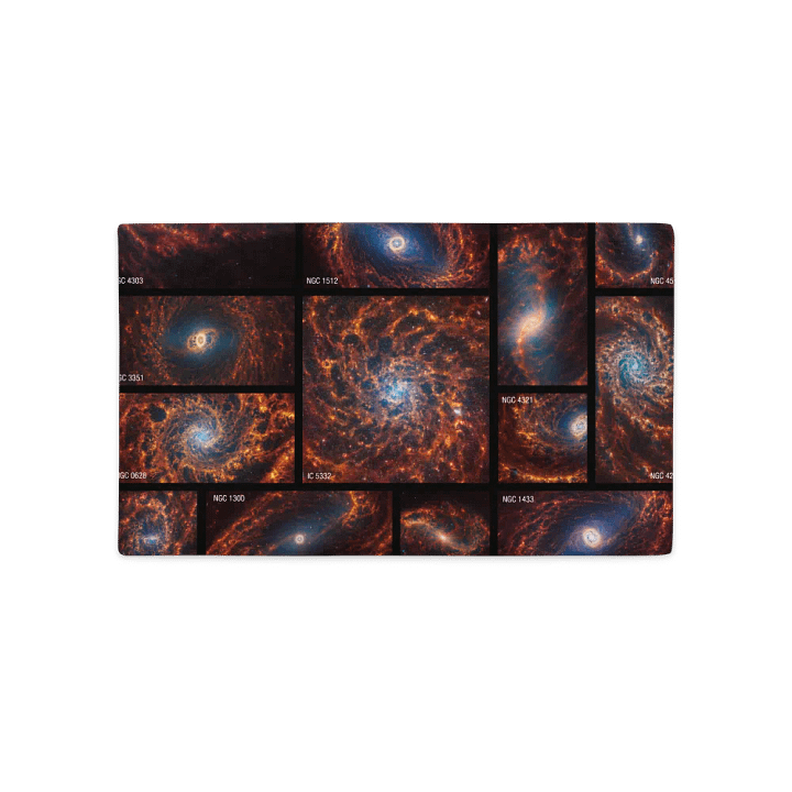 JWST ASTRO Premium Pillow Case product image (2)