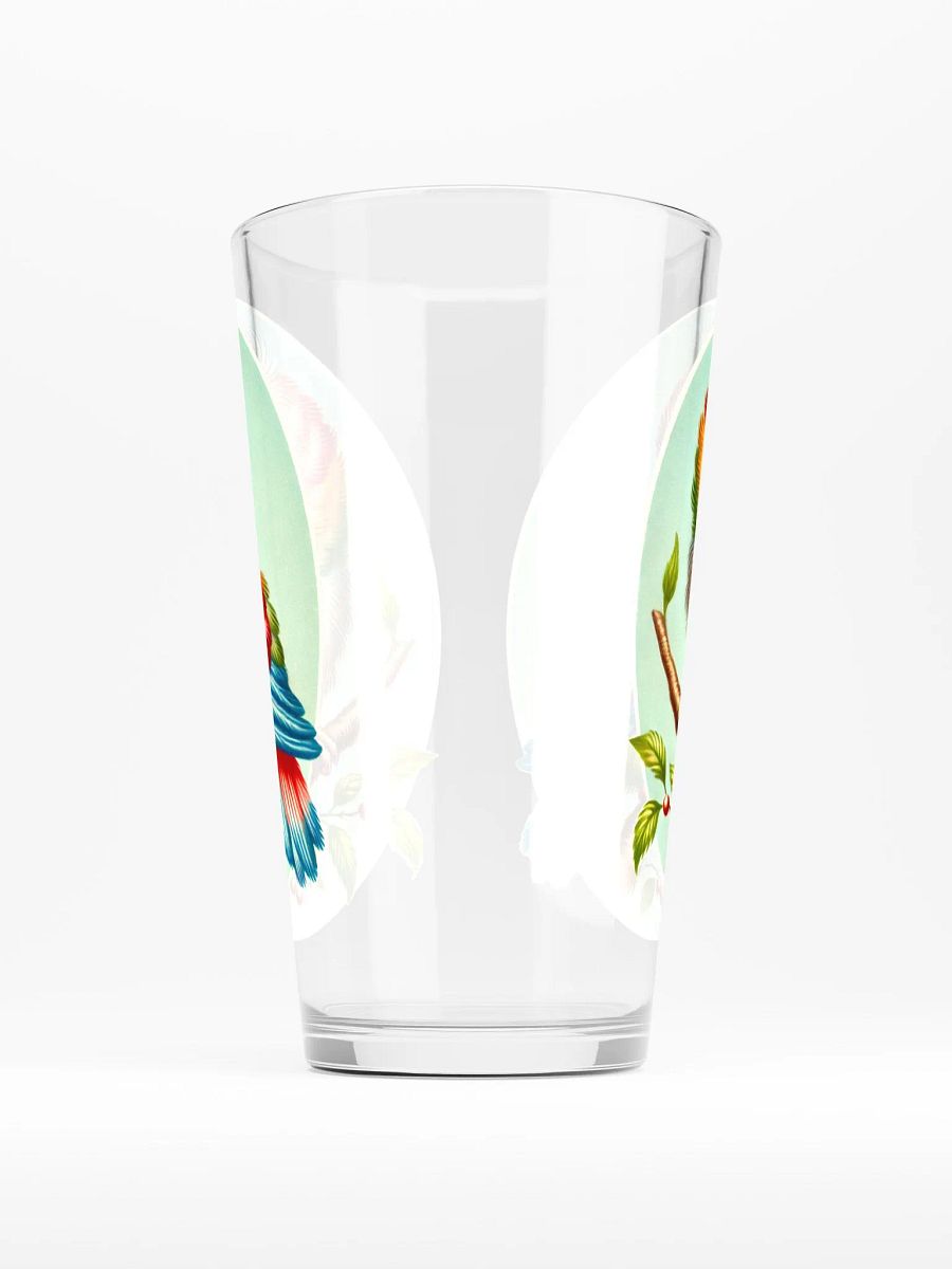 Colorful Baby Bird 16 oz Glass - Retro Glassware product image (2)