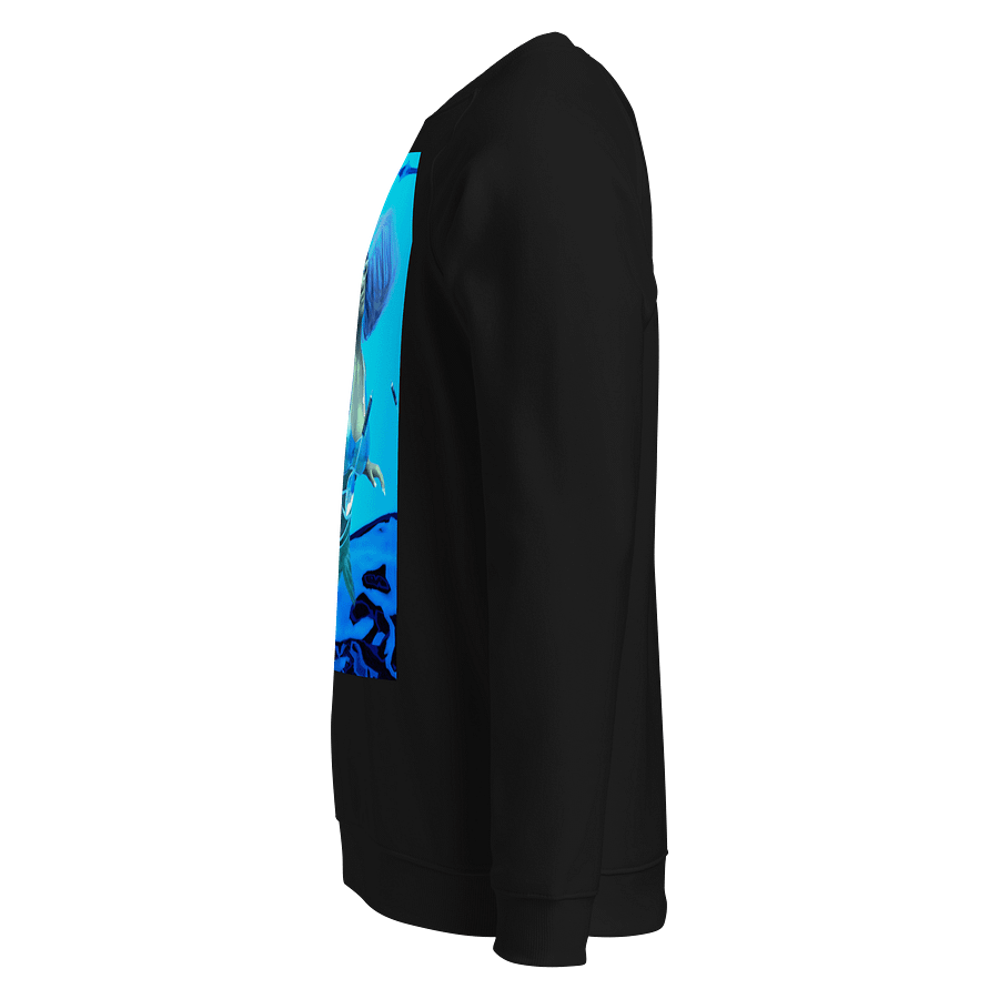 Mermaid Vibes Unisex Organic Raglan Sweatshirt product image (8)