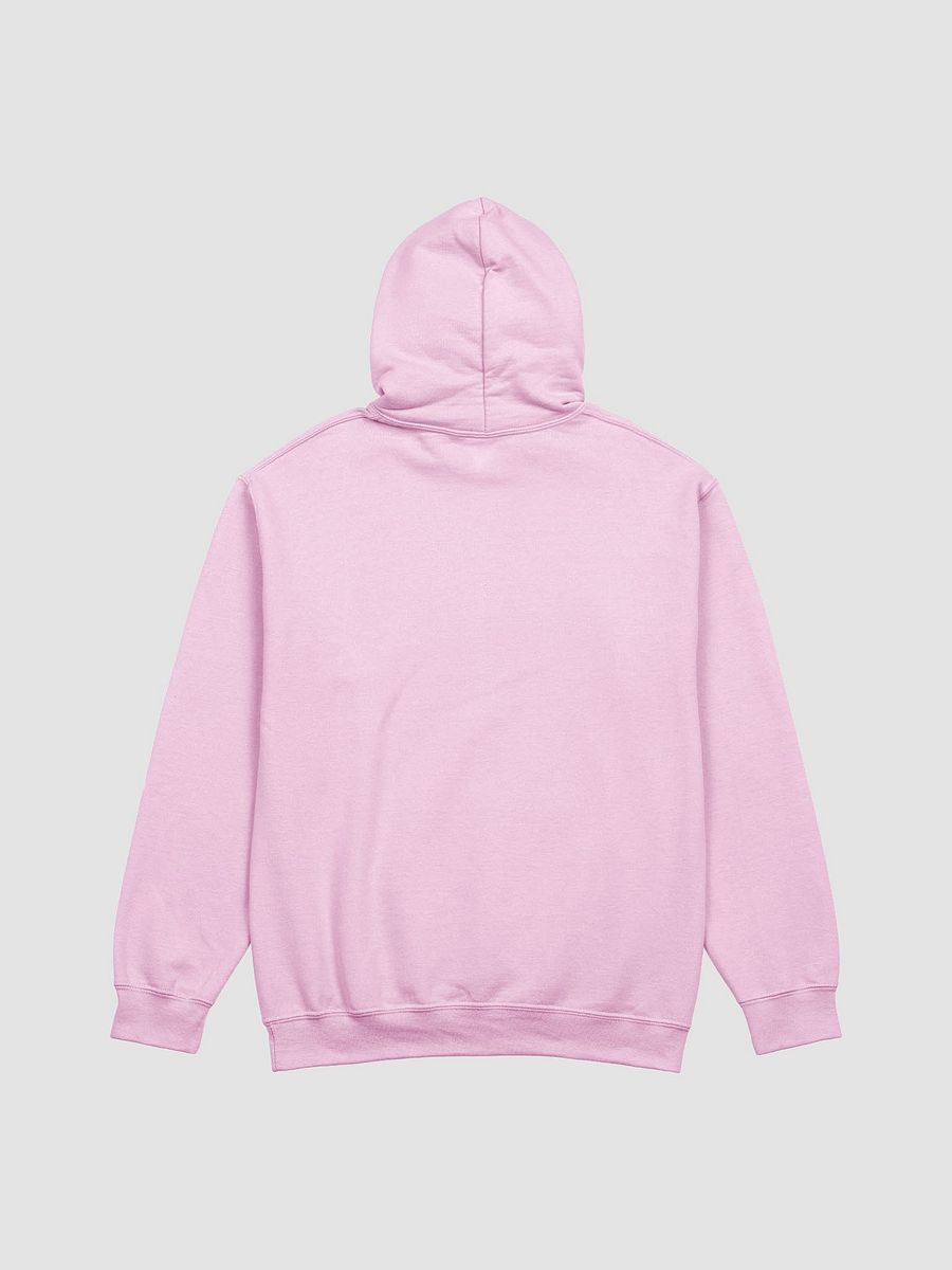 GUILLOVELO TURTLE HOODIE product image (2)