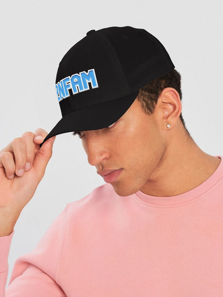 2NFAM Fitted Hat product image (3)