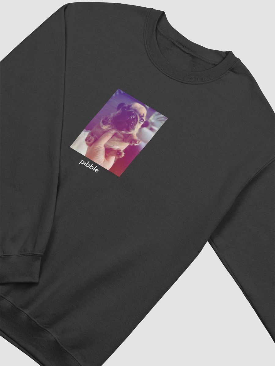 PIBBLE SWEATER product image (3)