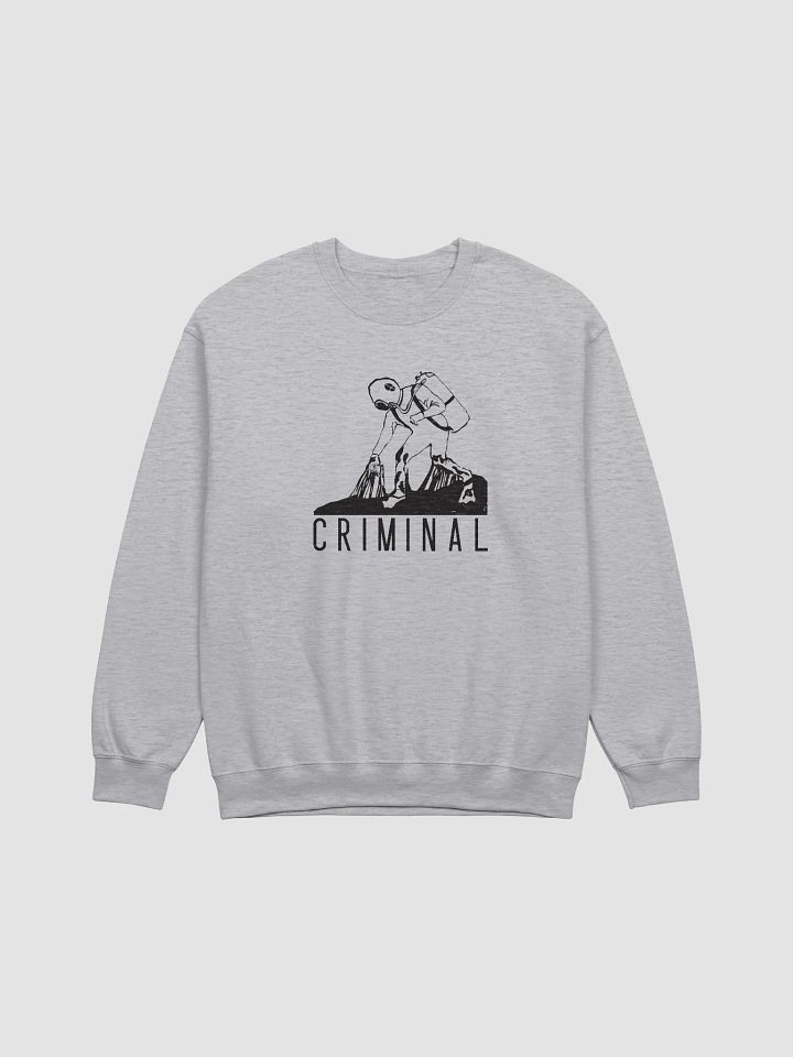 Deep Dive Sweatshirt product image (1)