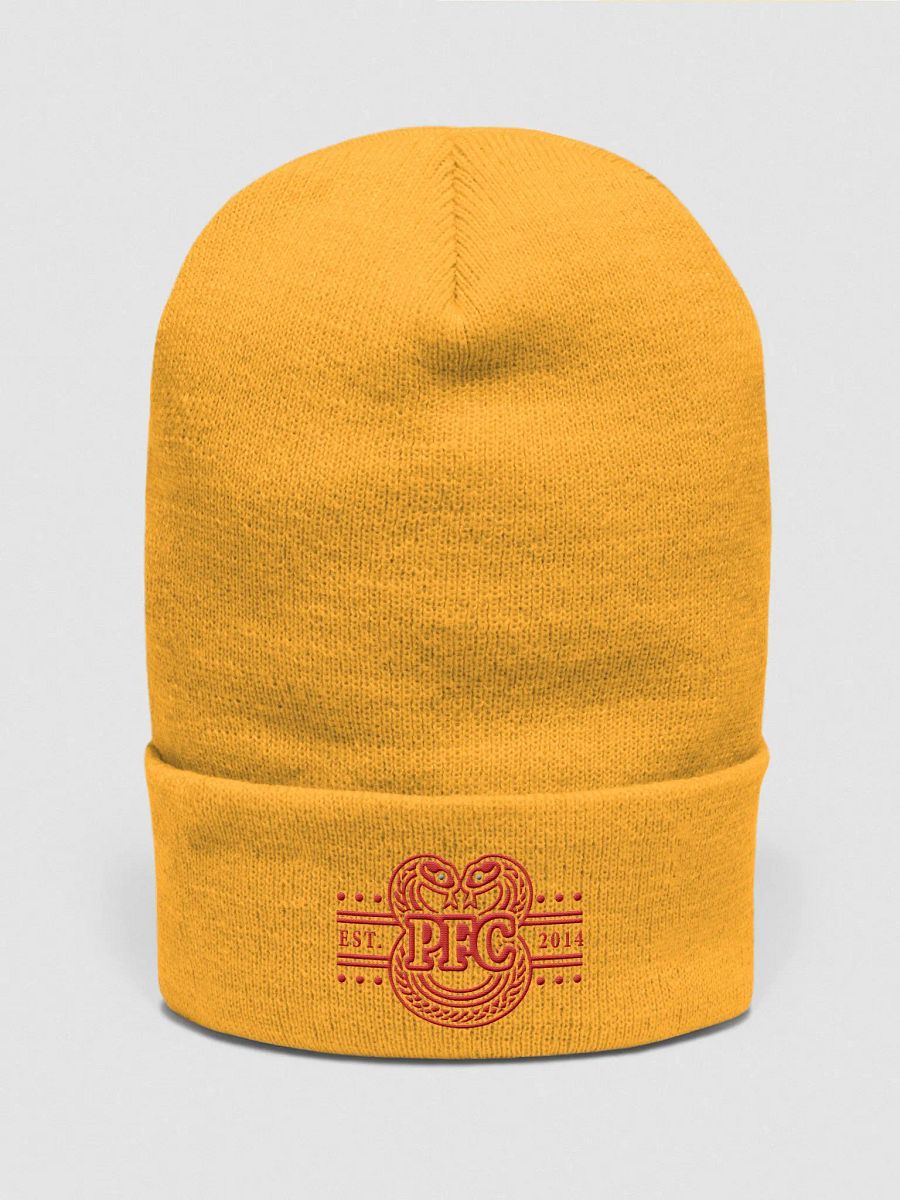 Infinity Snake Cuffed Beanie product image (13)