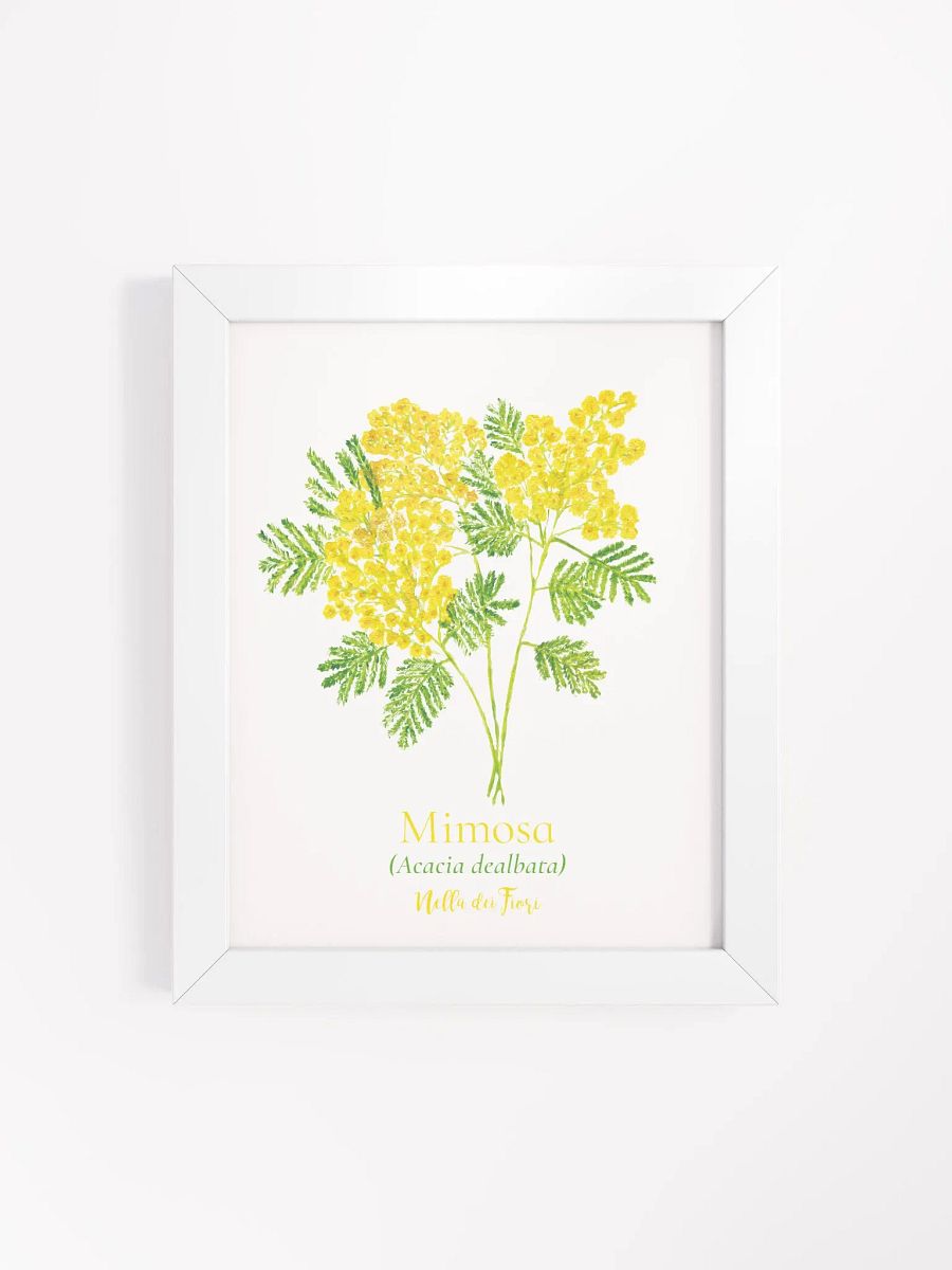 Mimosa Botanicus Frame product image (13)