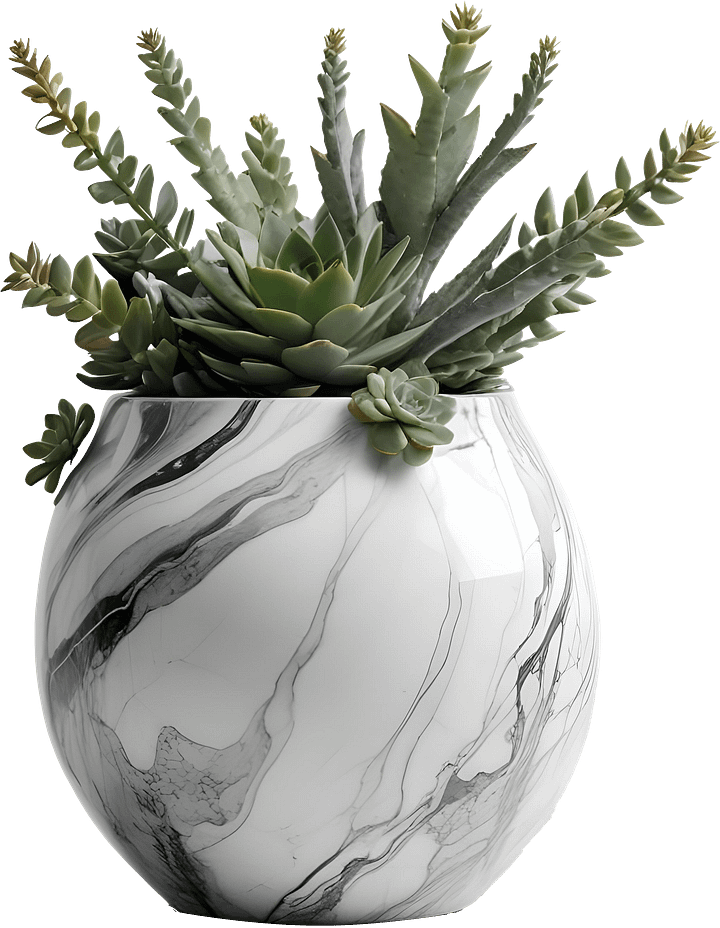 Marble Eternal – Sleek Marble Planter with Succulents PNG product image (1)