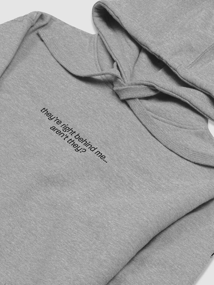 they're right behind me... aren't they? Hoodie product image (1)