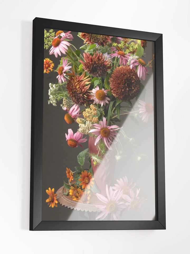 Echinacea Summer product image (2)
