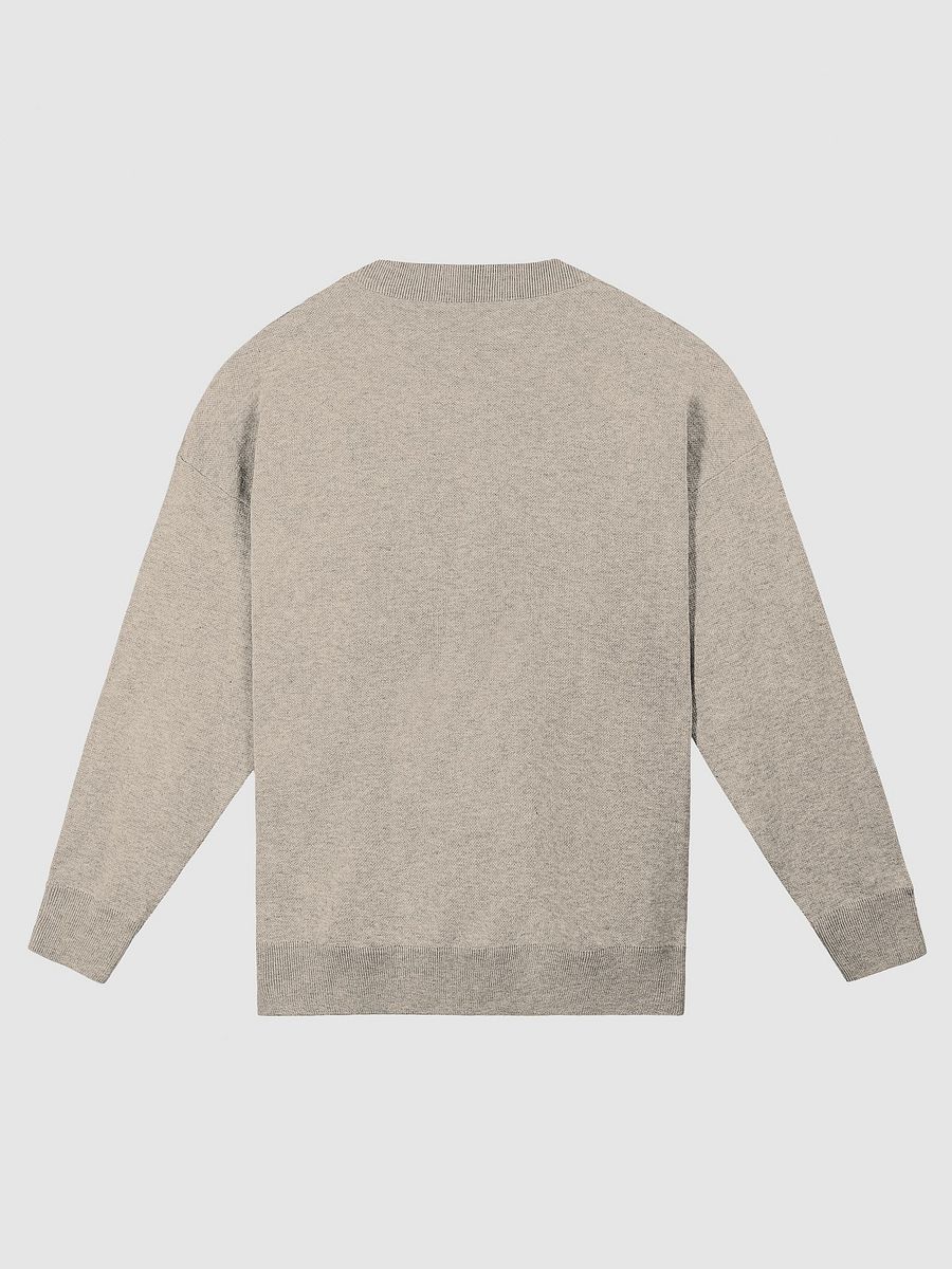 CURRENTLY IN BURNOUT (lg. design, taupe and brown) knitwear relaxed crewneck product image (7)