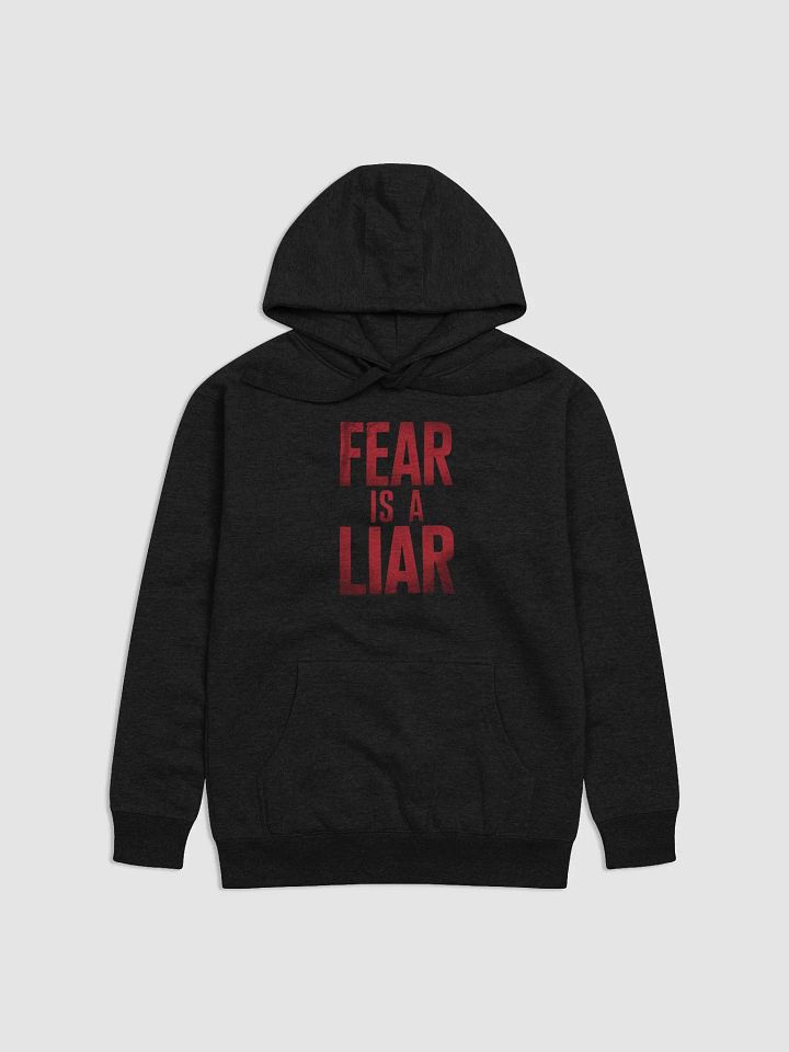 Fear is a liar Unisex Hoodie product image (1)