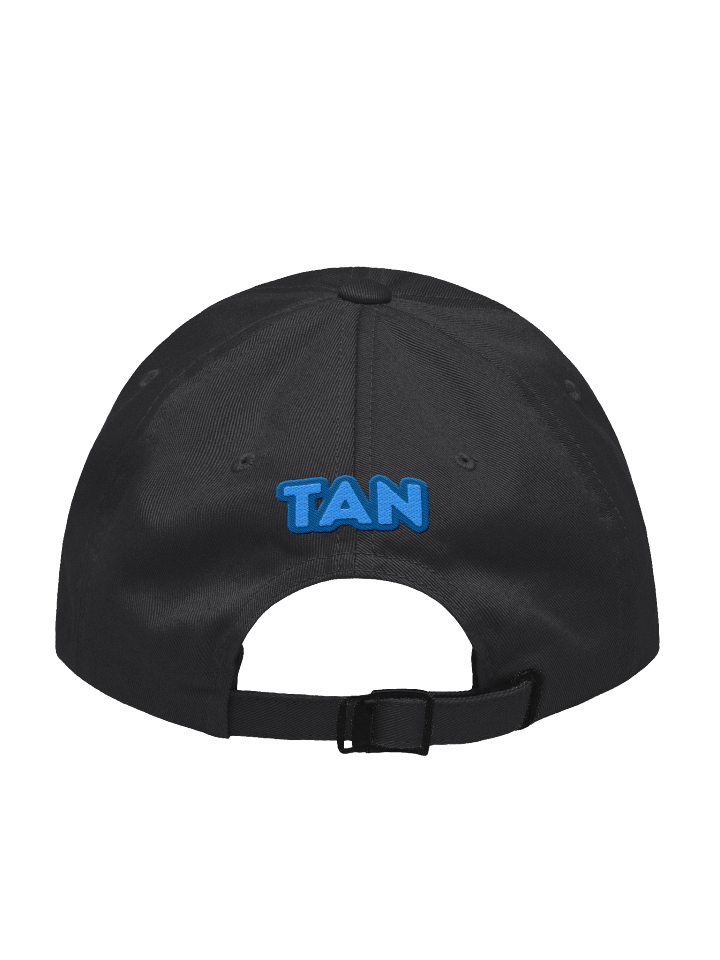 The Advertising Network Dad Hat product image (2)