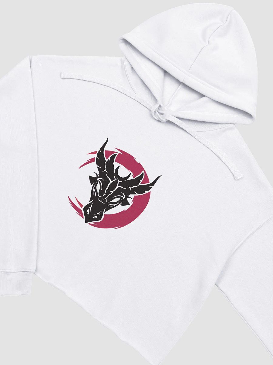Crop Hoodie - Aerinda product image (31)