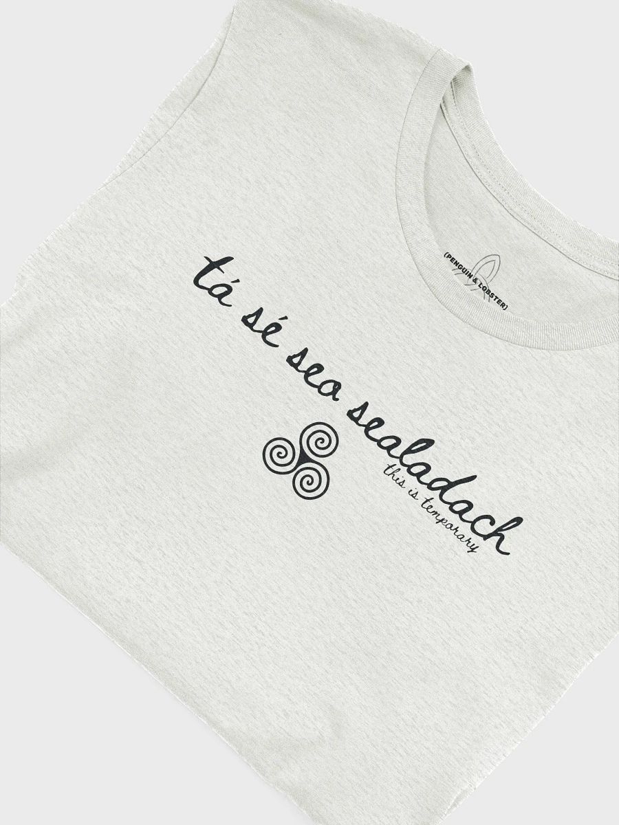 Tá Sé Seo Sealadach (This is Temporary) T-shirt Light Colors product image (51)