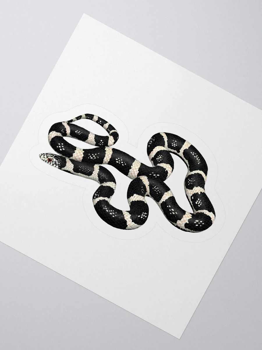 Die-Cut Sticker – Longnosed Snake Clarus Phase product image (2)