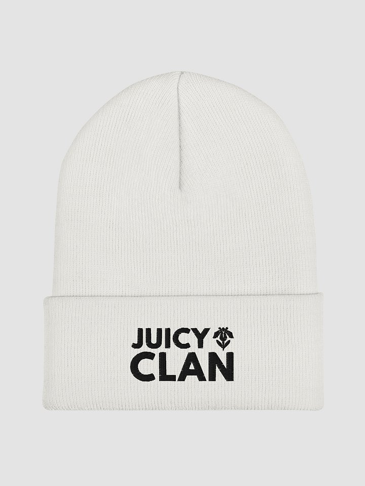 Embroidered Cuffed Beanie - JUICY CLAN product image (2)