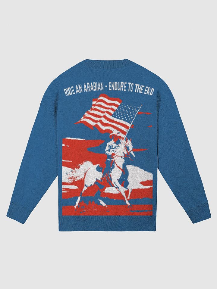 Equestrian Patriot Relaxed Knit Sweater product image (6)
