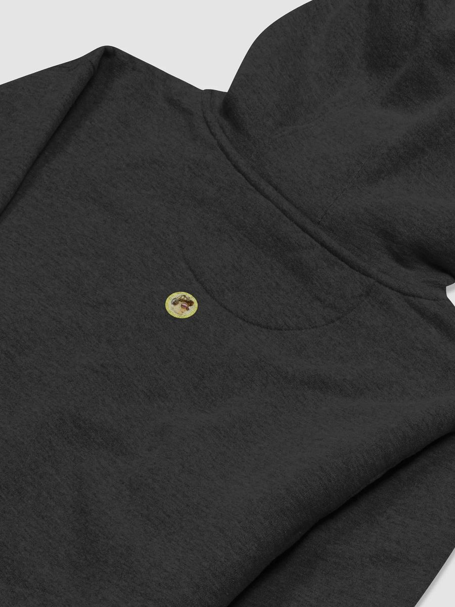 BBB (Black) - Hoodie product image (4)