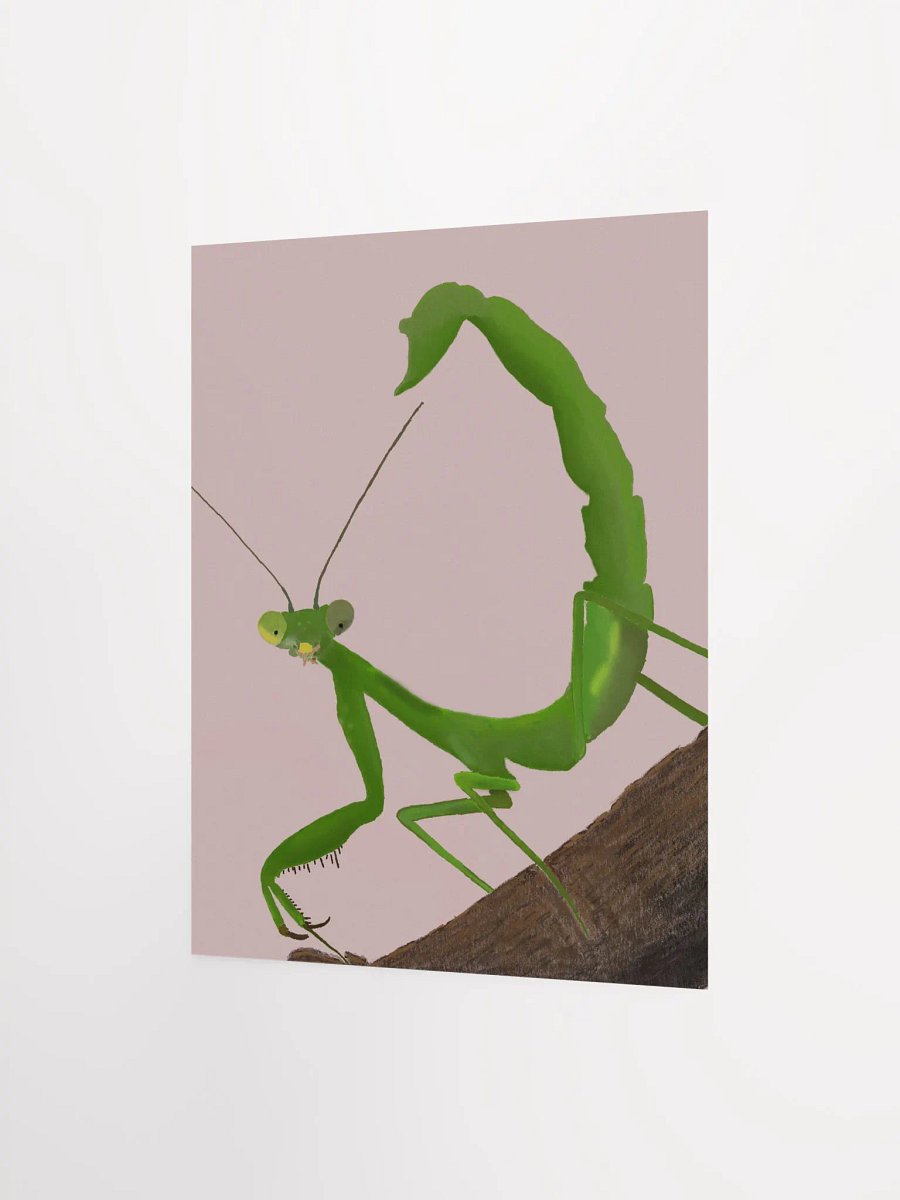 Mantis 2.0 Poster product image (2)