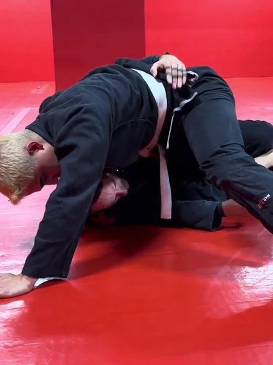 Master the Half Guard (17 Videos!) product image (1)