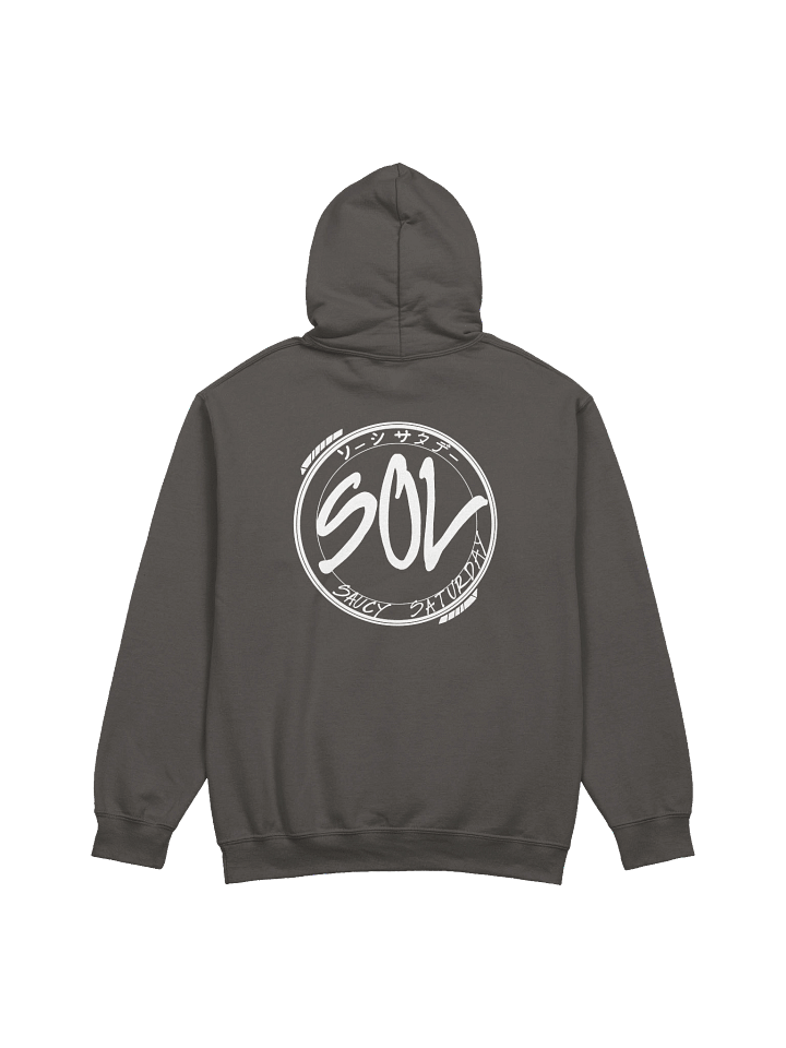 SOL Color Hoodie product image (10)