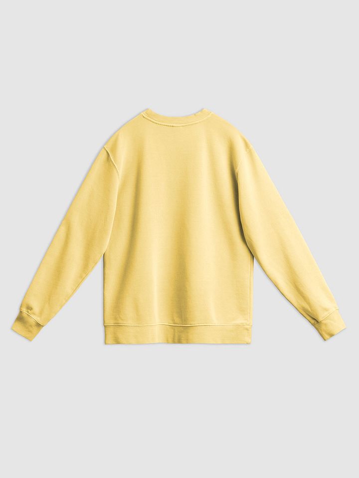 ONE ANOTHER printed pigment crewneck product image (2)