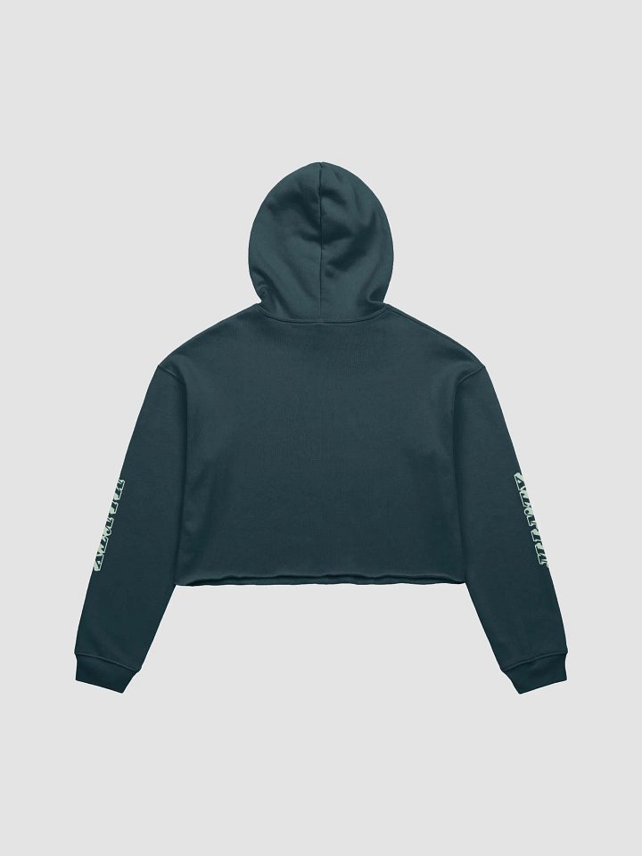 Bricked Up Cropped Hoodie_ product image (12)