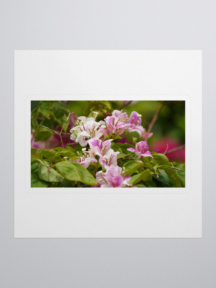 Blossom Borders Kiss Cut Stickers product image (1)