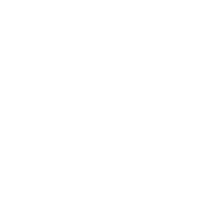 War Screaming Viking product image (1)