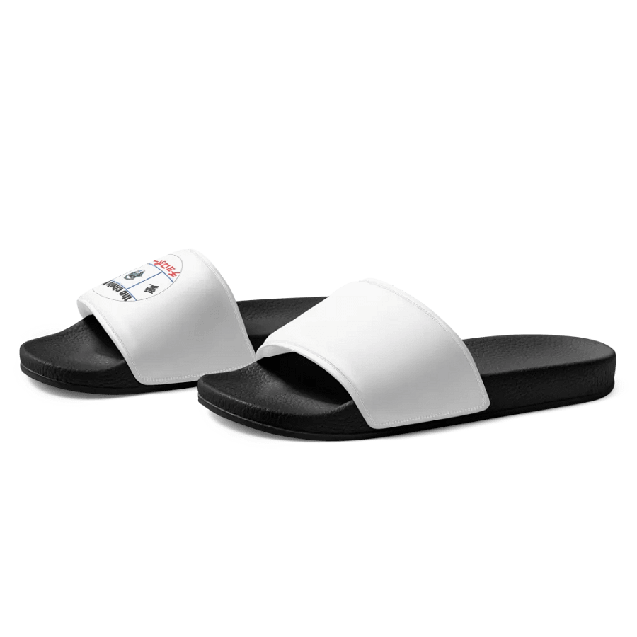 The vibe slides product image (3)