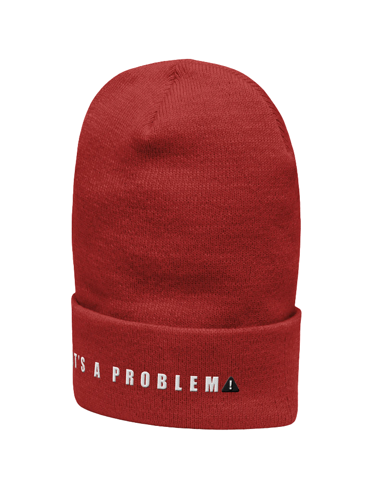 Yupoong Cuffed Beanie - IT'S A PROBLEM! product image (27)