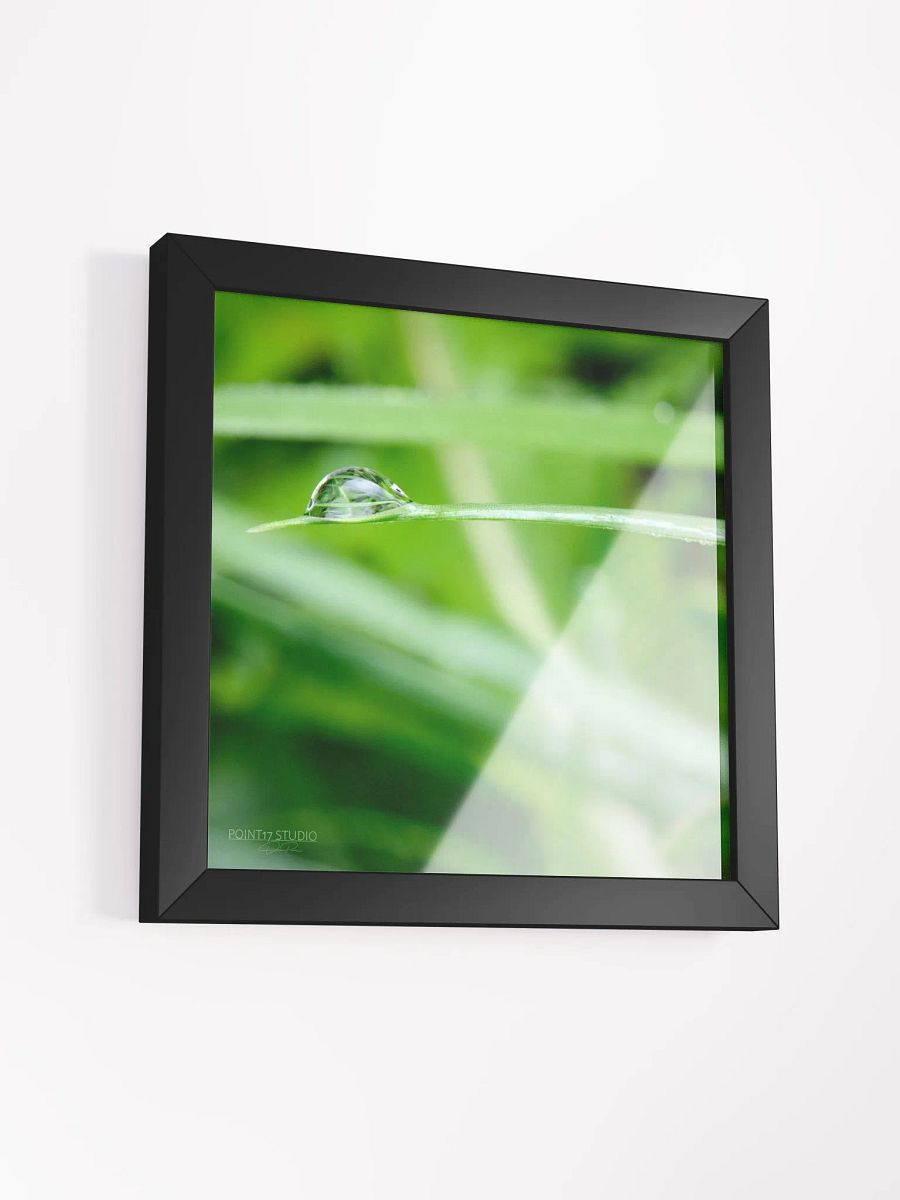 Dew Gems #10 - Framed Print product image (3)