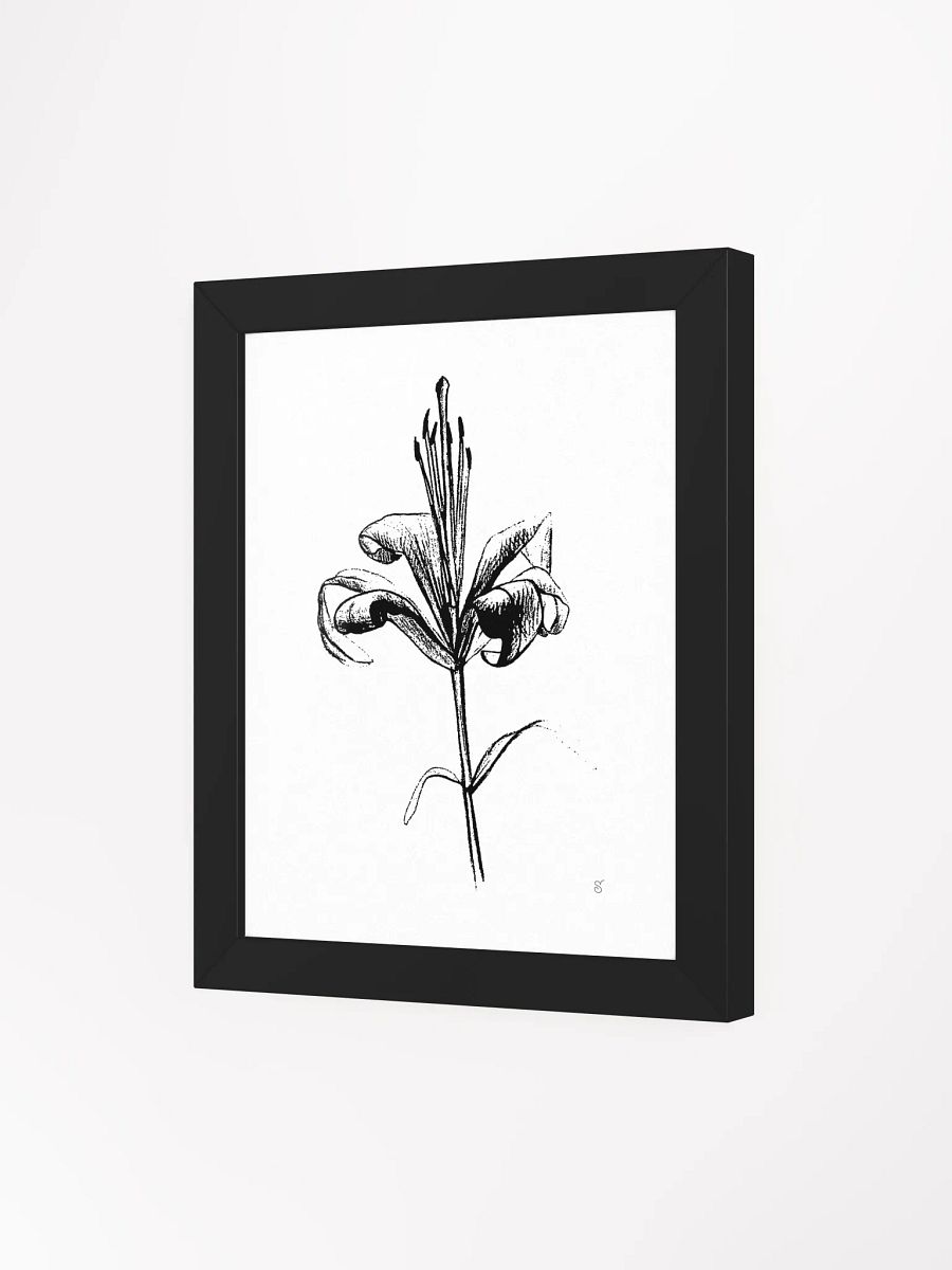 Elegant Lily Bloom Framed Poster - Fine Flower Light product image (18)