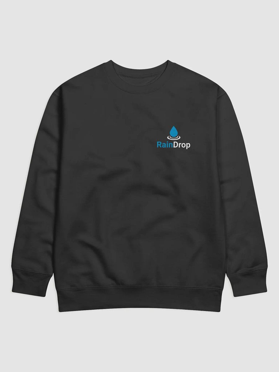 RainDrop Sweatshirt product image (1)