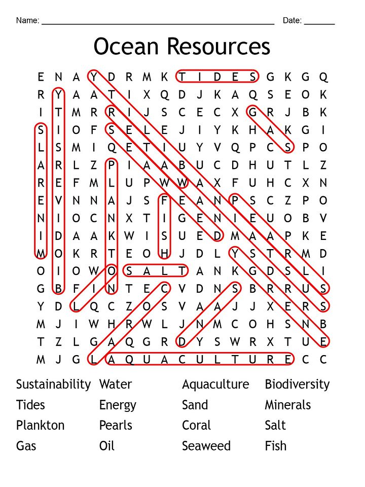 Printable Ocean Resources Word Search Puzzle product image (2)