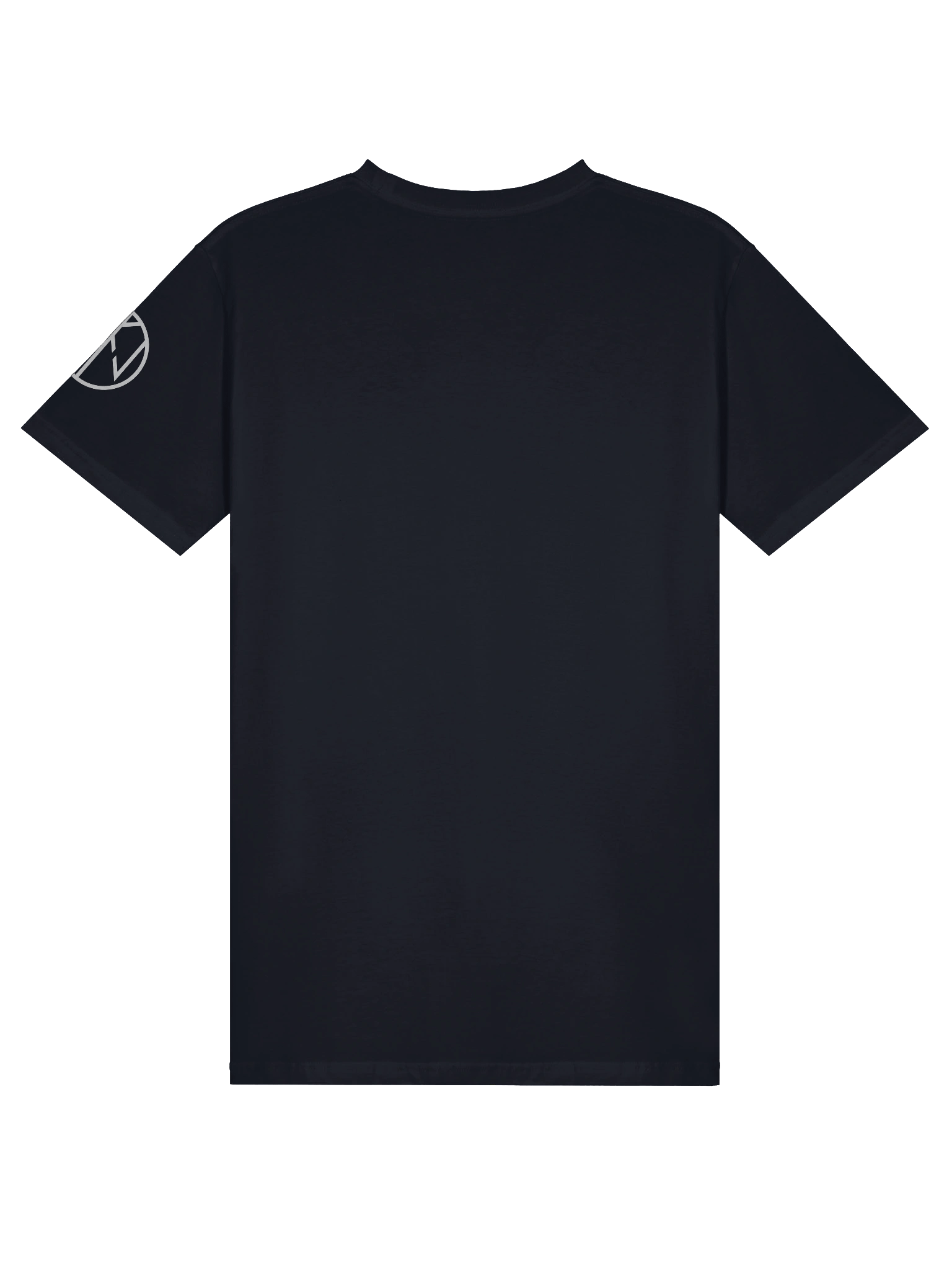 Woden's ravens - Anglevari regiment product image (3)